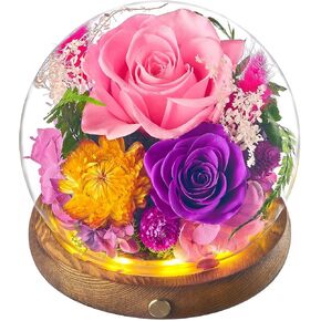 حافظت إيترفيلد على الزهور في قبة زجاجية مع ضوء LED ، هدايا Roses عيد الأم للأمي ، زهور Forever Globe طويلة الأمد للنساء ، الزوجة ، الجدة ، الأخت ، عيد ميلاد ، ذكرى ، أرجوانية