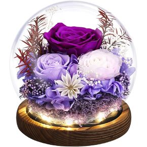Mother's Day Eternal Rose Gifts for Mom, Preserved Real Rose in Glass Dome with LED Light for Decoration, Flowers for Delivery Prime, Gifts for Women Wife Her on Birthday Anniversary, Purple