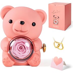 Romantic Teddy Bear with Preserved Rose and Necklace, Real Rose in Elegant Gift Box for Women, Bear Roses Gifts for Valentine's Day,Weddings,Mother's Day,Anniversary,Birthday,Christmas, Pink