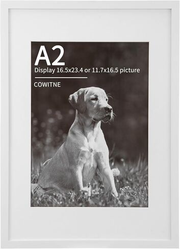 16.5 x 23.4 A2 Picture Frame Matted to A3 Solid Wood Plexiglass Natural Fit Poster Print 11.7x16.5 with Mat Opening or 16.5x23.5 without Matt Horizontal or Vertical for Wall Hanging in Saudi Arabia