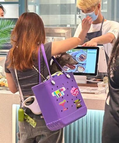 A & H Zier Bogg Bag Charms ملحق سيليكون مقاوم يتلاشى 0.5 سم متوافق مع معظم حقيبة BOGG (الموضة ، 4) in Kuwait