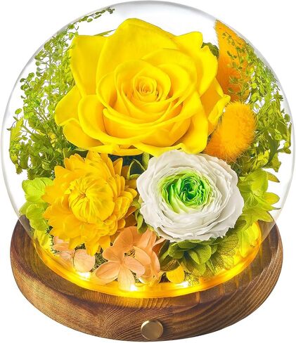 Eterfield Preserved Flowers in Glass Dome with LED Light, Mother's Day Roses Gifts for Mom, Long-Lasting Forever Globe Flowers for Women, Wife, Grandma, Sister, Birthday, Anniversary, Purple in Saudi Arabia