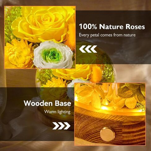 Eterfield Preserved Flowers in Glass Dome with LED Light, Mother's Day Roses Gifts for Mom, Long-Lasting Forever Globe Flowers for Women, Wife, Grandma, Sister, Birthday, Anniversary, Purple in Saudi Arabia