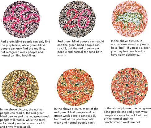 Folding Color Blind Glasses, Colorblind Correcting Glasses Red Green Blind Colorblind Glasses Portable Eyeglasses Weakness Glasses Color Blindness Glasses for Men Women Outdoor Indoor (Soybean) in Saudi Arabia