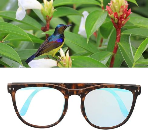 Folding Color Blind Glasses, Colorblind Correcting Glasses Red Green Blind Colorblind Glasses Portable Eyeglasses Weakness Glasses Color Blindness Glasses for Men Women Outdoor Indoor (Soybean) in Saudi Arabia