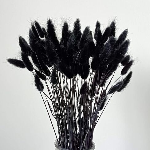 110 Stems Bunny Tails Dried Flowers, Mini Pampas Grass, for Cute Boho Home Kitchen Decor, 17 inch Lagurus Ovatus for Wedding Party Decor, Autumn Color in Saudi Arabia
