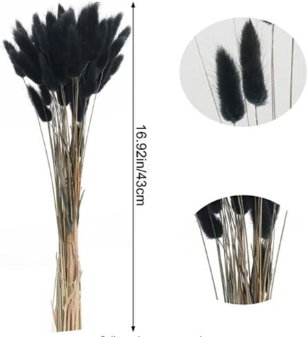 110 Stems Bunny Tails Dried Flowers, Mini Pampas Grass, for Cute Boho Home Kitchen Decor, 17 inch Lagurus Ovatus for Wedding Party Decor, Autumn Color in Saudi Arabia