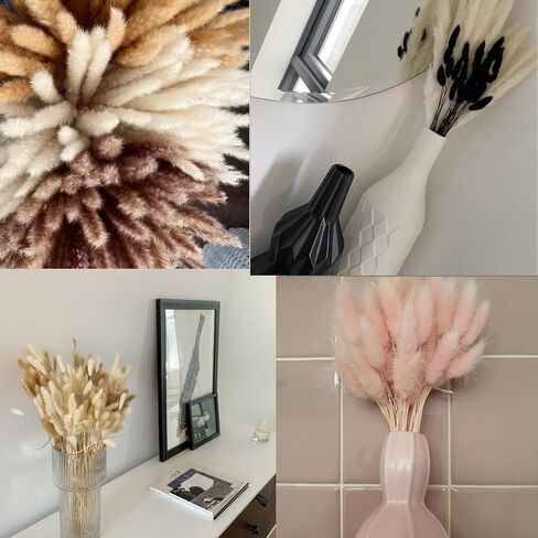 110 Stems Bunny Tails Dried Flowers, Mini Pampas Grass, for Cute Boho Home Kitchen Decor, 17 inch Lagurus Ovatus for Wedding Party Decor, Autumn Color in Saudi Arabia