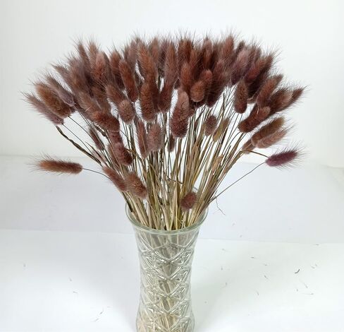 110 Stems Bunny Tails Dried Flowers, Mini Pampas Grass, for Cute Boho Home Kitchen Decor, 17 inch Lagurus Ovatus for Wedding Party Decor, Autumn Color in Saudi Arabia