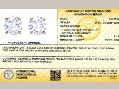 IGI Certified 1 قيراط (CT) أقراط مستديرة من الماس ، VVS2 Clarity E Color ، 14K White Gold Bour-Prog-Brong Back-Back. in Saudi Arabia