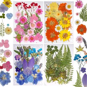 100 PCS مجفف الزهور المضغوطة للأوراق الجافة الراتنج مناسبة ل SCRABKING DIY الحرف المجوهرات الصابون صنع شمعة