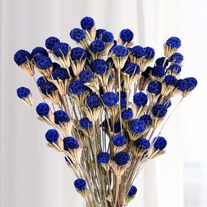 50pcs الأزرق الطبيعي المجفف زهور الشوك باقة 17 '' 'Premium المحفوظة الشوك لترتيب الزهور اليدوي DIY ، الزهور الزرقاء لزهرية الحشو منزل المطبخ المطبخ بوهو بوهو على طراز