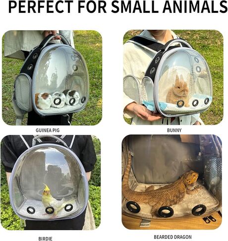 حامل حقيبة ظهر سحلية التنين الملتحي مع مجموعة حزام ومقود، حقيبة ظهر لحمل الحيوانات الصغيرة، حقيبة ظهر لحمل النوافذ الفقاعية، حقيبة ظهر صغيرة لحمل الحيوانات الأليفة، معتمدة من شركات الطيران (أسود) in Kuwait