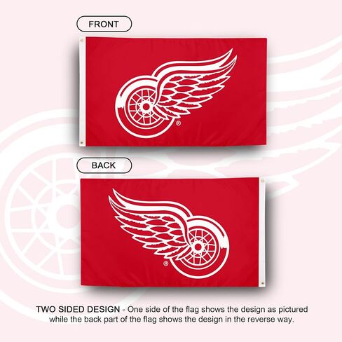 Desert Cactus Detroit Red Wings Flag NHL 100% Polyester Indoor Outdoor 3x5 feet National Hockey League Team (Design #2) in Saudi Arabia