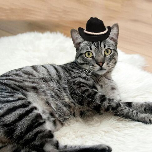 قبعة رعاة البقر للكلاب، قبعة رعاة البقر للقطط، زي رعاة البقر للحيوانات الأليفة، قبعة رعاة البقر الصغيرة للكلاب والقطط وعطلات الهالوين لتزيين حفلات الحيوانات الأليفة (بني، صغير) in Kuwait