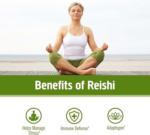 Om Mushroom Superfood Reishi Organic Mushroom Powder, 100 Servings, Organic Adaptogen Powder for Stress Relief and Immune Health in Saudi Arabia