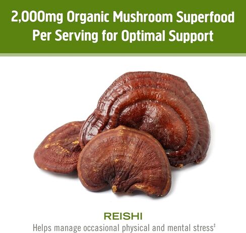 Om Mushroom Superfood Reishi Organic Mushroom Powder, 100 Servings, Organic Adaptogen Powder for Stress Relief and Immune Health in Saudi Arabia