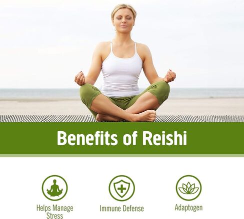 Om Mushroom Superfood Reishi Organic Mushroom Powder, 100 Servings, Organic Adaptogen Powder for Stress Relief and Immune Health in Saudi Arabia