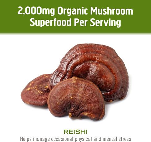 Om Mushroom Superfood Reishi Organic Mushroom Powder, 100 Servings, Organic Adaptogen Powder for Stress Relief and Immune Health in Saudi Arabia