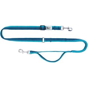 RC Pets Bungee Active Dog Leash, Hands-Free 4-in-1 Dog Leash, Arctic Blue/Teal