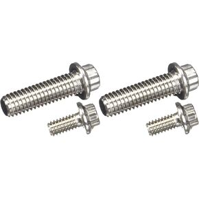 ARP 4301601 Stainless 300 12-Point Fuel Pump Bolt Kit