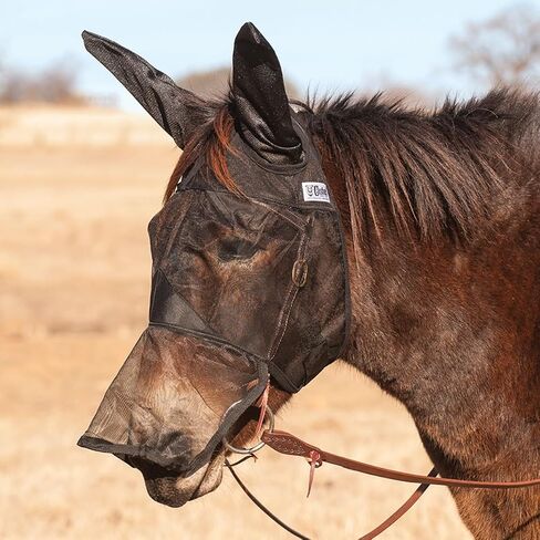 Cashel Quiet Ride Mule Fly Mask with Ears, Black, Mule Yearling in Saudi Arabia