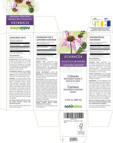 Naturalma Echinacea (Echinacea angustifolia and purpurea) Root and herb Alcohol-Free Tincture - 4 fl oz Liquid Extract in Drops - Herbal Supplement - Vegan in Kuwait