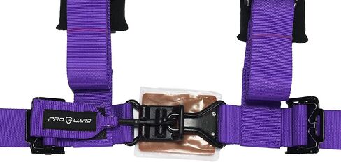 Purple 4 Point Harness 2" Straps Universal UTV Off-Road Harness in Kuwait