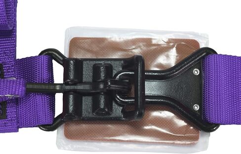 Purple 4 Point Harness 2" Straps Universal UTV Off-Road Harness in Kuwait