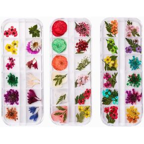 Colorful Nail Art Decoration Flowers – 3D Dried Pressed Real Flowers for Nail Art, DIY, Manicure, Pedicure, Manicure Decor Mixed Natural Dried Set for Salons & Home Use(3 Boxes)