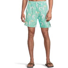 Hurley Men's Cannonball Volley 17"
