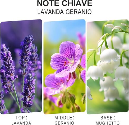L'Odeur Vill 3 PCSK Reed Diffuser ، 4.06 أوقية (120 مل) اللافندر/الكتان/الفانيليا ، ناشر العطرية المعطرة مع 12 عصي الناشر الأسود ، معطر الهواء لحمام غرفة نوم المنزل in Kuwait