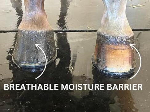 درع حافر عنصري للخيول 16oz - يرطب ويحافظ على رطوبة الحافر الطبيعية مع الحماية من الأضرار البيئية الخارجية in Kuwait