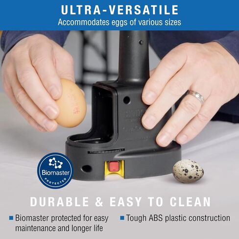 Brinsea Products Candling Lamp for Monitoring The Development of The Embryo within The Egg in Kuwait