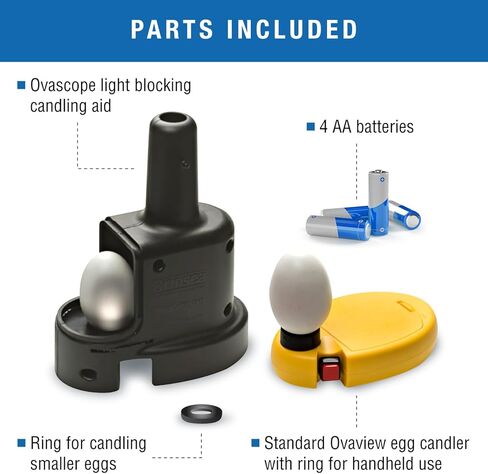 Brinsea Products Candling Lamp for Monitoring The Development of The Embryo within The Egg in Kuwait