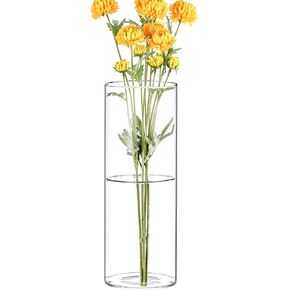 Cys Excel Clear Glass Cylinder Flower Vase (H: 8 "D: 3") إعاقة عائمة شمعة حامل الجدول الزفاف مركزية المنزل