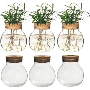 محطة انتشار النبات ، إناء terrarium المائي ، محطة زجاج سطح المكتب ، للمنازل ، زينة الحديقة ، النباتات المائية المائية ، مكتب مركزي ، ديكور الحديقة المنزلية (2)
