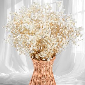 2500+ Dried Babys Breath Flowers Bulk - 17" Ivory White Dried Flower Bouquet, Real Natural Gypsophila Branches for Vase Filler, Wedding, Table Centerpiece, Home Decor, DIY Wreath Floral, Crafts