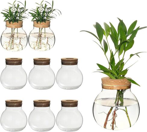 Plant Propagation Station,Hydroponic Terrarium Vase,Desktop Glass Planter Station,for Houses,Garden Decorations,ropagating Hydroponic Plants,Centerpiece Office,Home Garden Decor (2) in Kuwait