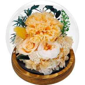 Preserved Rose Forever Flower in Glass Dome, Flowers for Delivery Prime, Birthday Gifts for Women Mom Grandma Wife, Unique Gift Eternal Rose