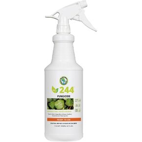 SNS-244-مبيدات الفطريات الطبيعية جاهزة للاستخدام-32 أوقية