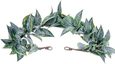 Mostory Woodland Greek Laurel Crown - Leaf Roman Leaf Crown for Greek Goddess Costume Advil in Saudi Arabia