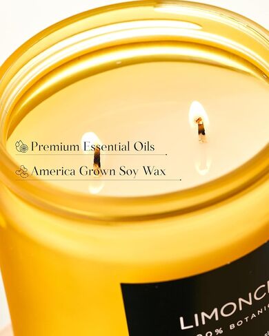 M&SENSE Summer's Night Scented Candle, 11.6oz Natural Soy Jar Candle for Home, Medium 2 Wick Candle Gifts for Men, Up to 70 Hours Burn time, Manly Candles for Bedroom in Kuwait