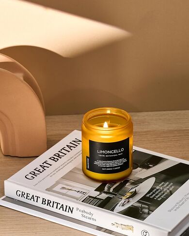 M&SENSE Summer's Night Scented Candle, 11.6oz Natural Soy Jar Candle for Home, Medium 2 Wick Candle Gifts for Men, Up to 70 Hours Burn time, Manly Candles for Bedroom in Kuwait