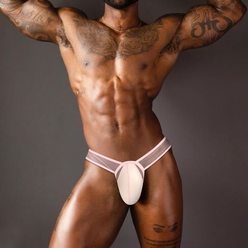 Men's Sexy See Through Underwear Low Rise Bugle Pouch Bikini Briefs in Kuwait