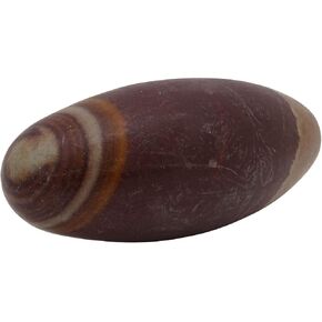 Narmada Shiva Lingam Stone 3"inch - Narmada River Shiva banalinga for Positive Energy Gemstone Shiva Lingam Stone - Worry Stone for Natural Body Chakra Balancing, Reiki Healing and Crystal Grid Shiva in Saudi Arabia