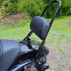 Motorcycle Detachable Rear Passenger Sissy Bar Upright Backrest W/Cushion Pad for Harley Sportster XL 883 1200 2004-Up with Docking Hardware Latch Clip Easy Install (Gloss Black)