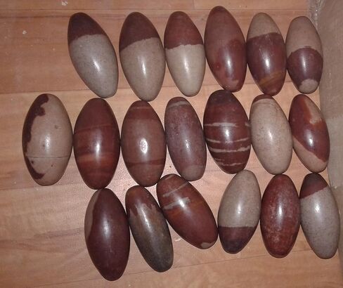 Narmada Shiva Lingam Stone 3"inch - Narmada River Shiva banalinga for Positive Energy Gemstone Shiva Lingam Stone - Worry Stone for Natural Body Chakra Balancing, Reiki Healing and Crystal Grid Shiva in Saudi Arabia