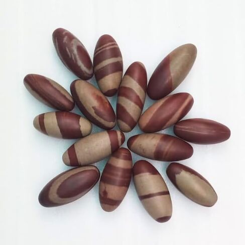 Narmada Shiva Lingam Stone 3"inch - Narmada River Shiva banalinga for Positive Energy Gemstone Shiva Lingam Stone - Worry Stone for Natural Body Chakra Balancing, Reiki Healing and Crystal Grid Shiva in Saudi Arabia