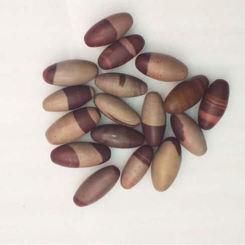 Narmada Shiva Lingam Stone 3"inch - Narmada River Shiva banalinga for Positive Energy Gemstone Shiva Lingam Stone - Worry Stone for Natural Body Chakra Balancing, Reiki Healing and Crystal Grid Shiva in Saudi Arabia